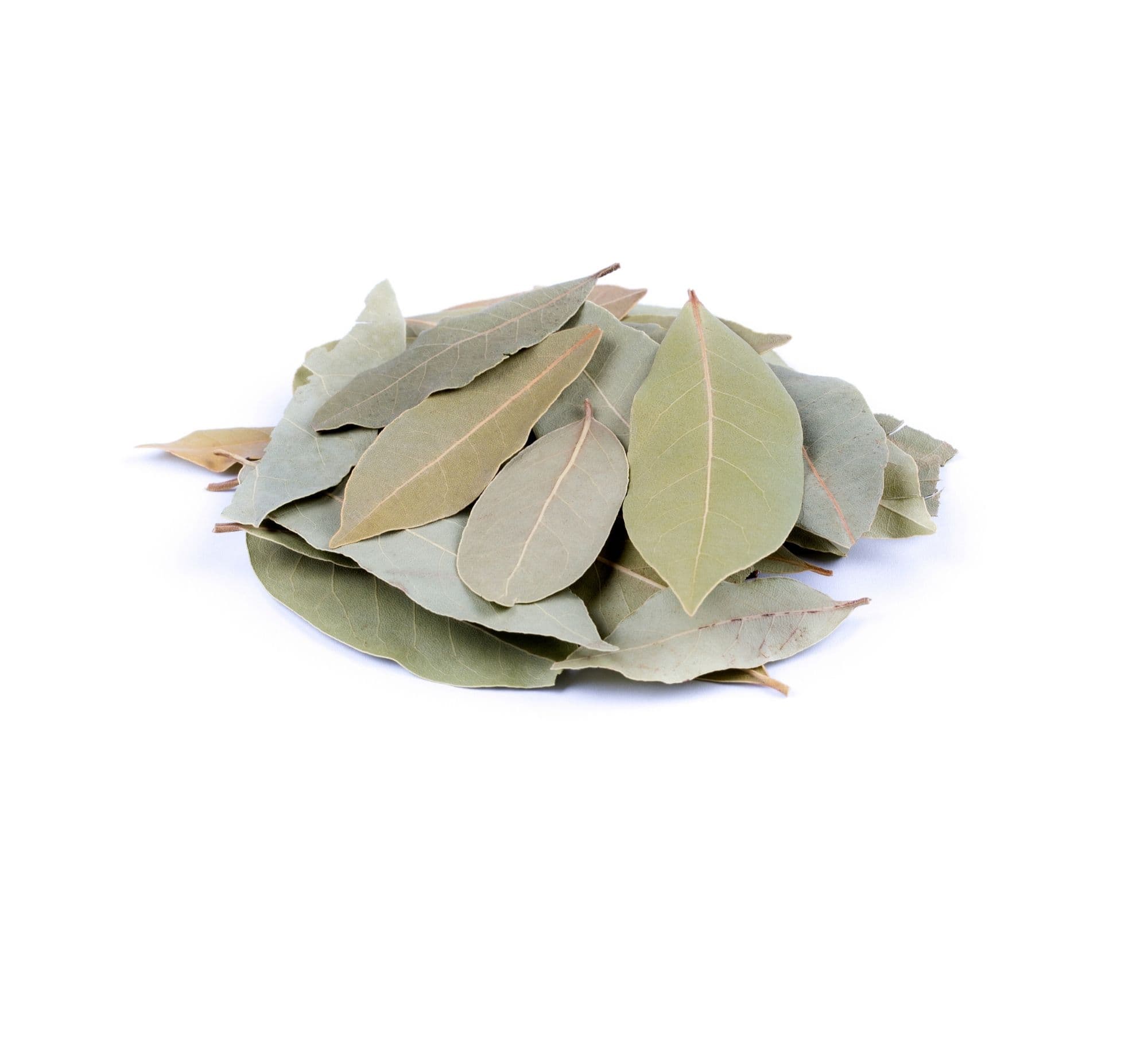 Whole dried Turkish laurel leaves