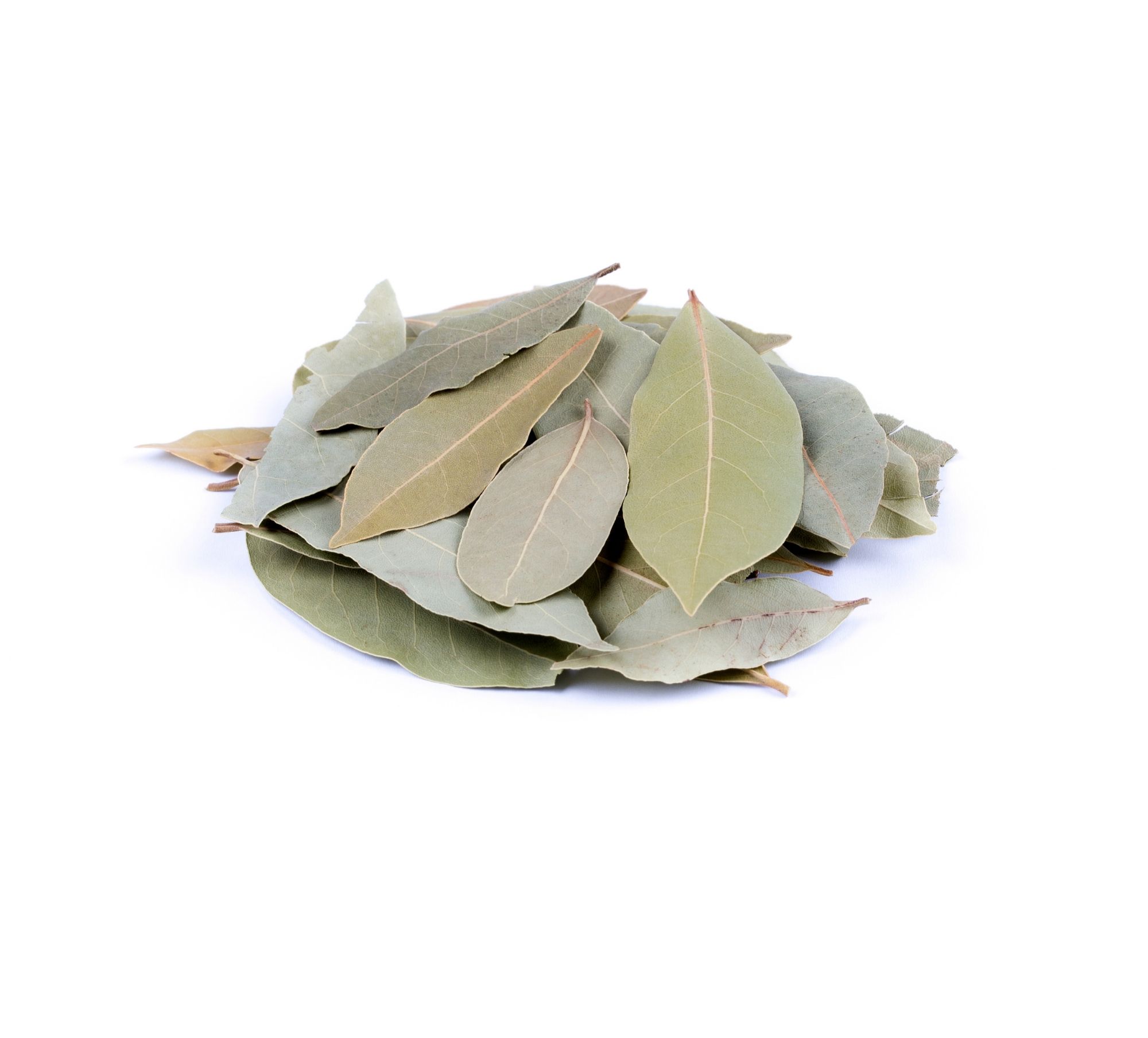 Dried Turkish laurel leaves — Aegean