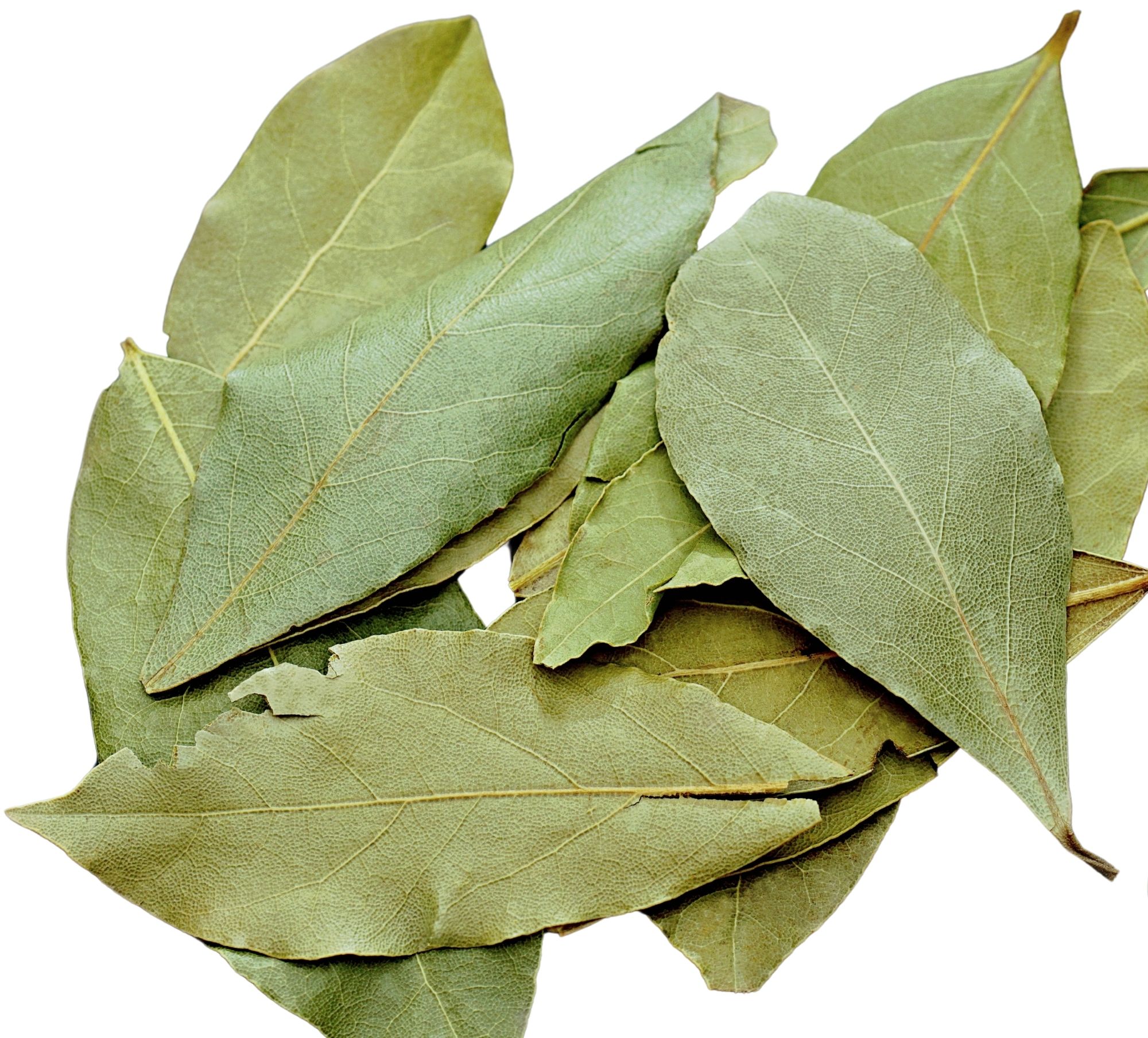 Dried Turkish laurel leaves — Marmara / Black Sea